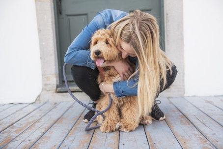 labradoodle puppy being hugged by a woman