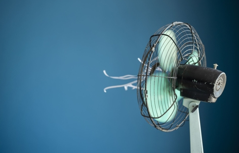 Fan Blowing
